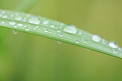 丧尸生存动作游戏《创尸纪》概念图 5月20日发售